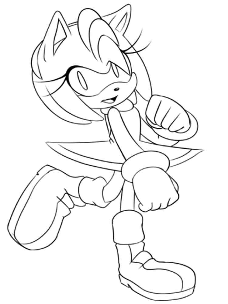 Tô màu Amy Rose Xinh Đẹp