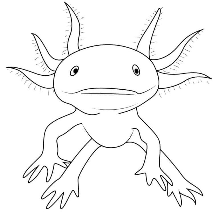 Tô màu Axolotl Đang Bơi