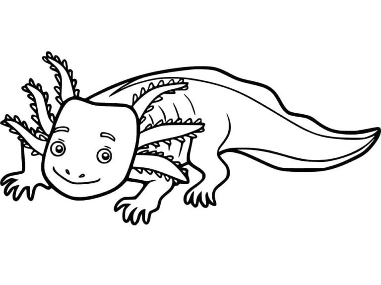 Tô màu Axolotl Hoạt Hình