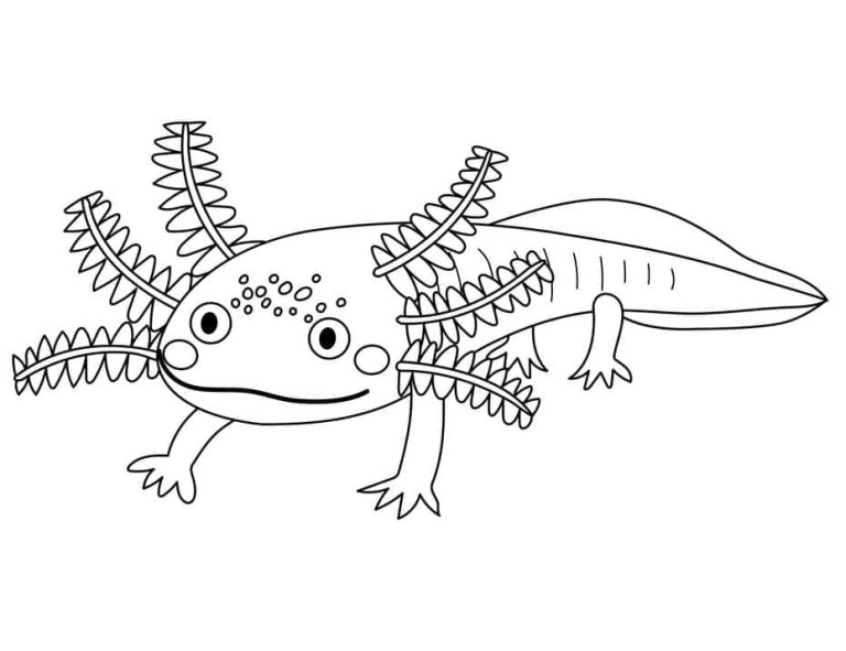 Tô màu Axolotl Ngộ Nghĩnh