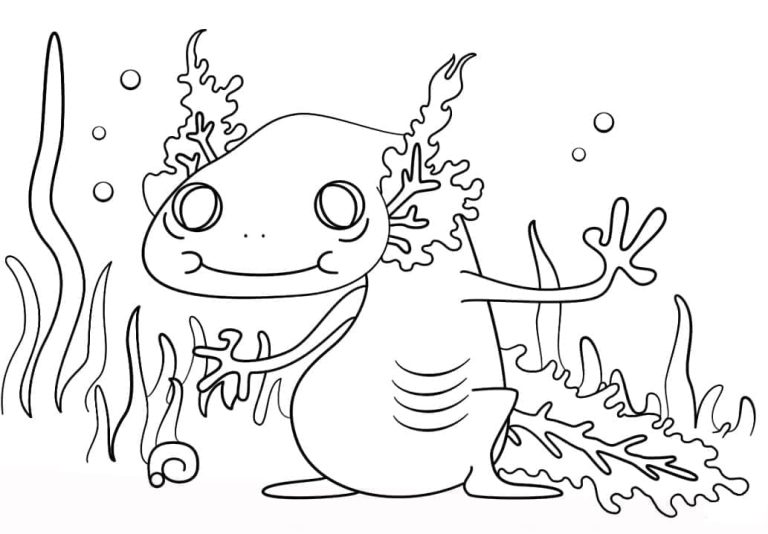 Tô màu Axolotl Vui Nhộn