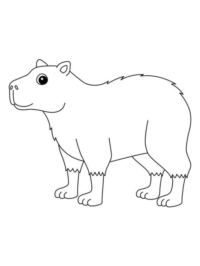 Tô màu Capybara Cười