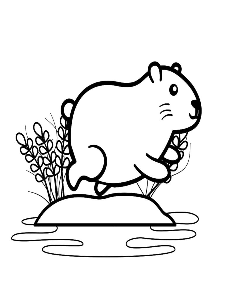 Tô màu Capybara Nhỏ Cute