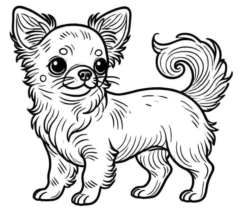 Tô màu Chó Chihuahua Cute