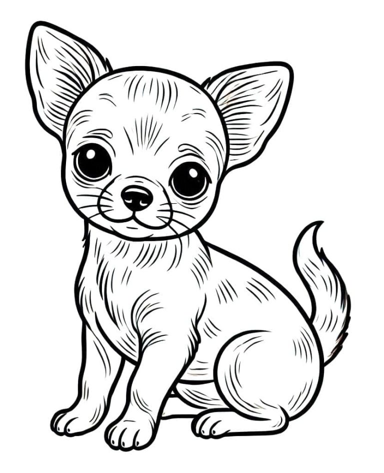 Tô màu Chó Chihuahua Đáng Yêu Cute