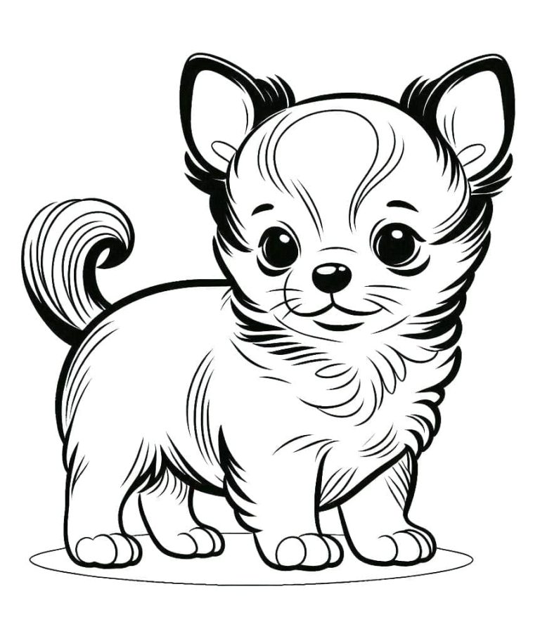 Tô màu Chó Chihuahua Nhỏ Cute