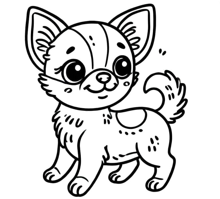 Tô màu Chó Chihuahua Rất Cute