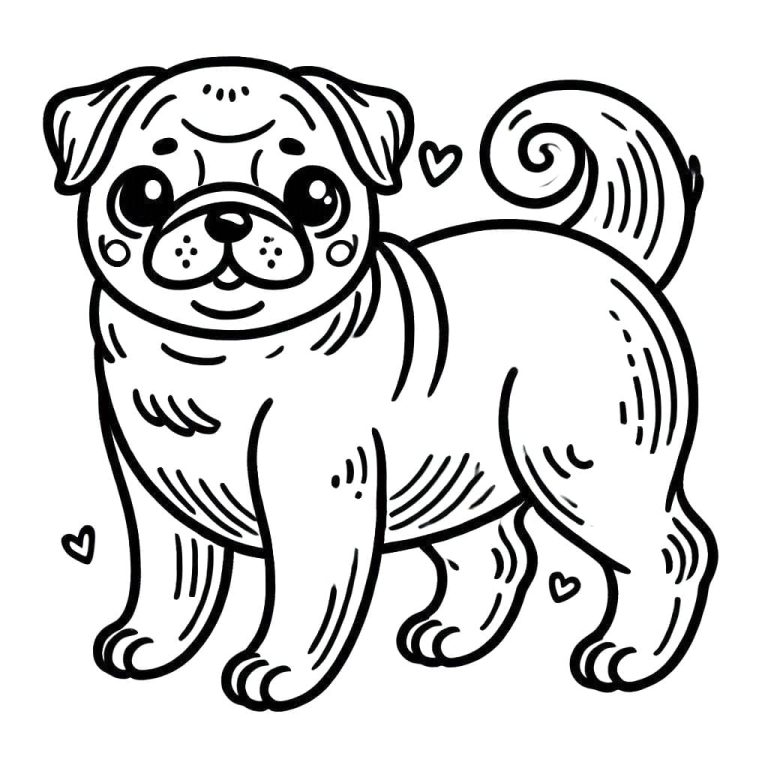Tô màu Chó Pug Cute
