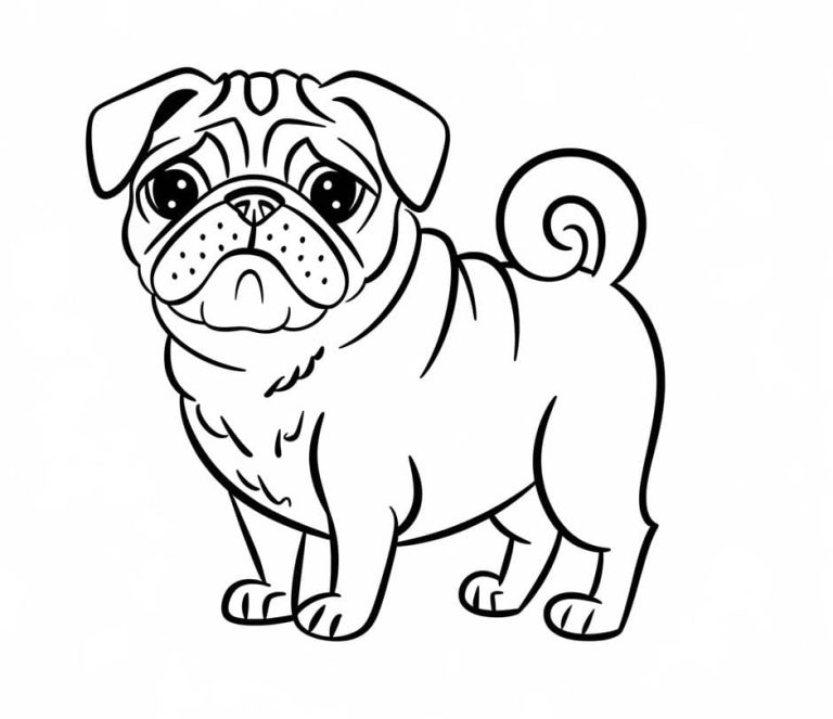 Tô màu Chó Pug Cute Nhất
