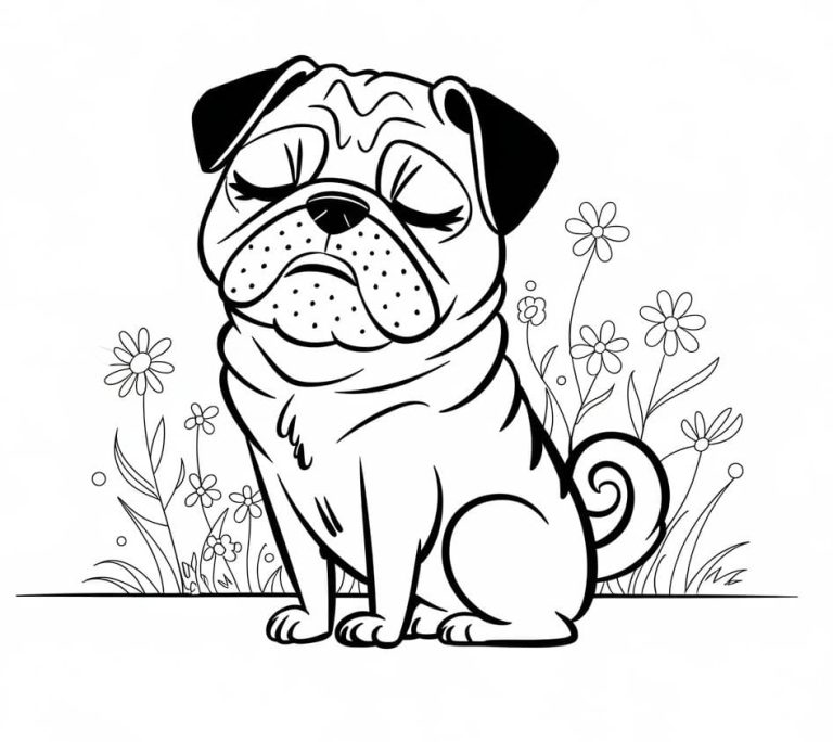 Tô màu Chó Pug Đang Ngồi