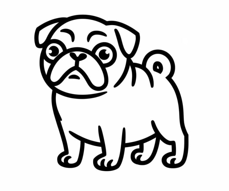 Tô màu Chó Pug Rất Đơn Giản