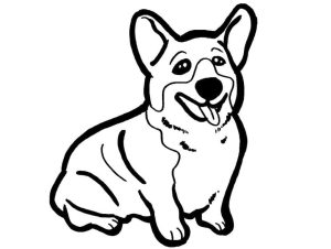Tô Màu Chó Corgi
