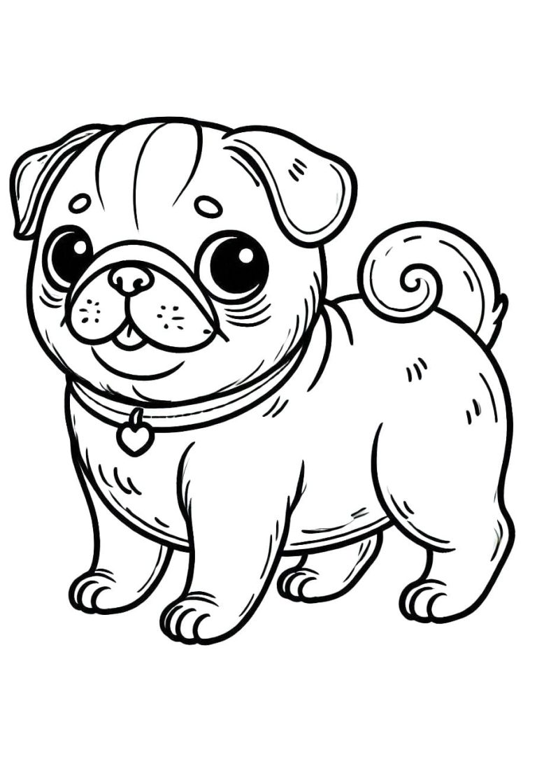 Tô màu Chú Chó Pug