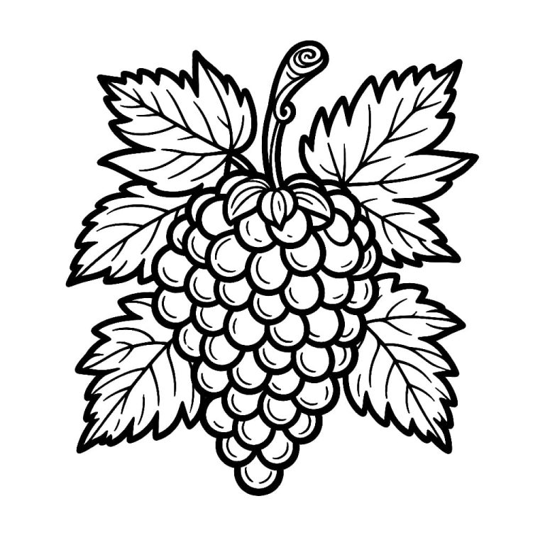Tô màu Chùm Nho Nhiều Quả