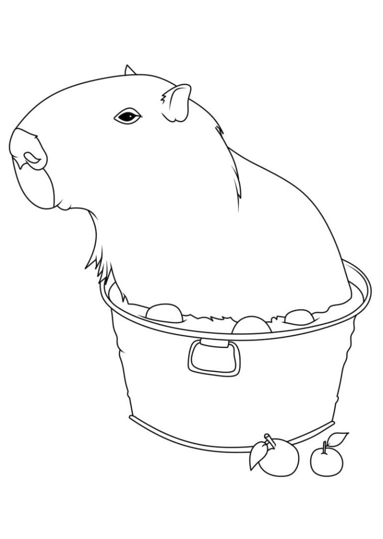 Tô màu Chuột Lang Capybara