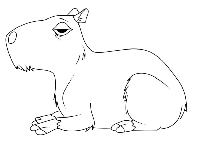 Tô màu Chuột Lang Nước Capybara