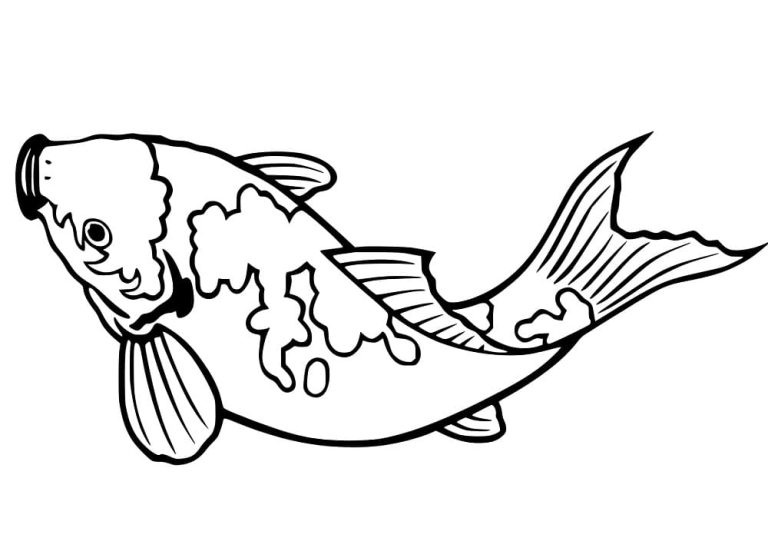 Tô màu Con Cá Koi Đơn Giản