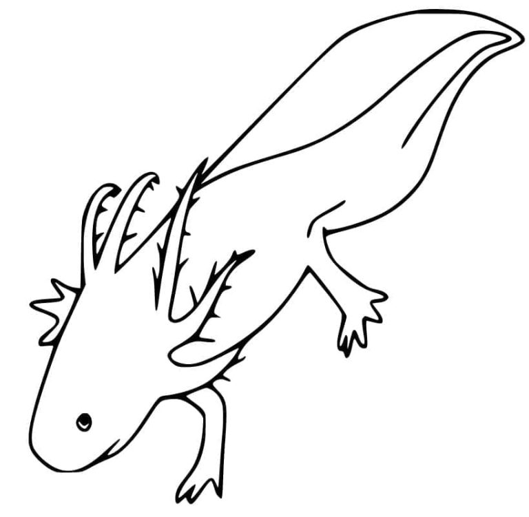 Tô màu Con Kỳ Nhông Axolotl