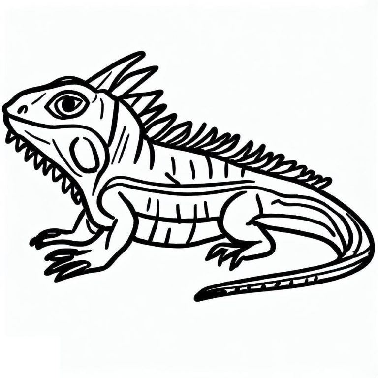 Tô màu Con Kỳ Nhông Nhỏ
