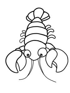 Tô màu Con Tôm Hùm Cute