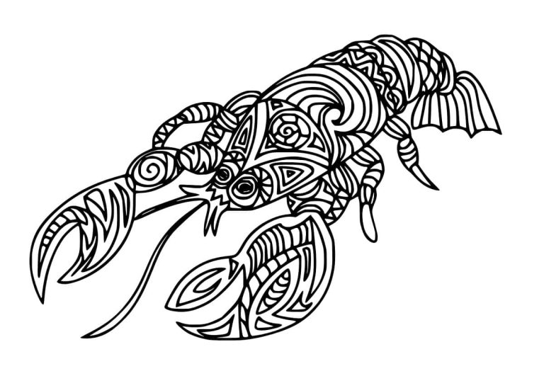 Tô màu Con Tôm Hùm Đẹp