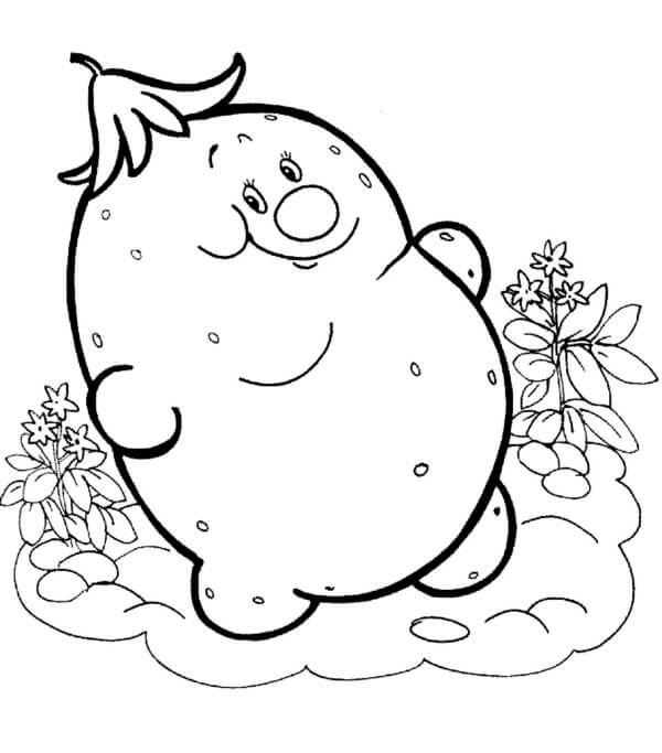 Tô màu Củ Khoai Tậy Lớn