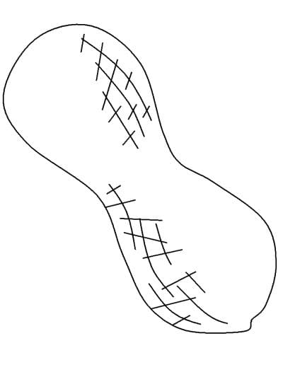 Tô màu Củ Lạc Nhỏ