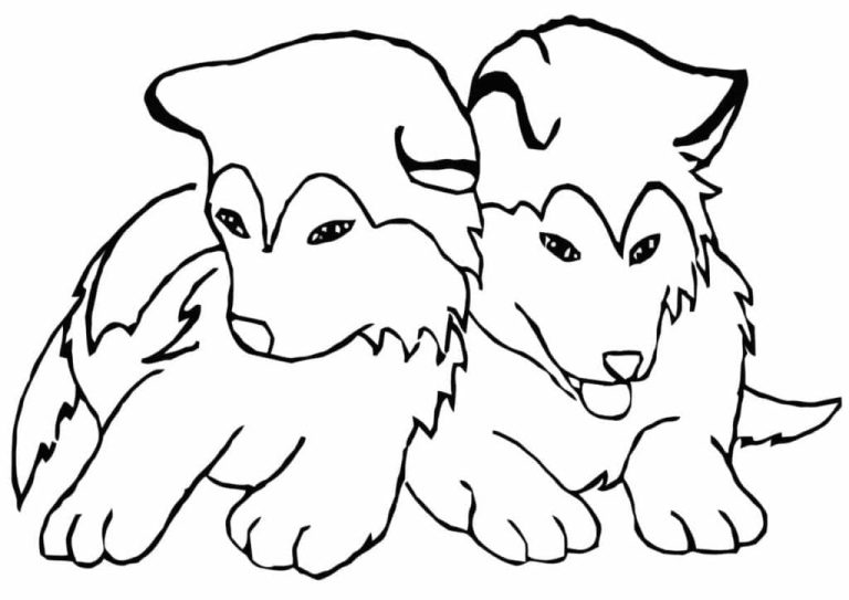 Tô Màu Chó Husky