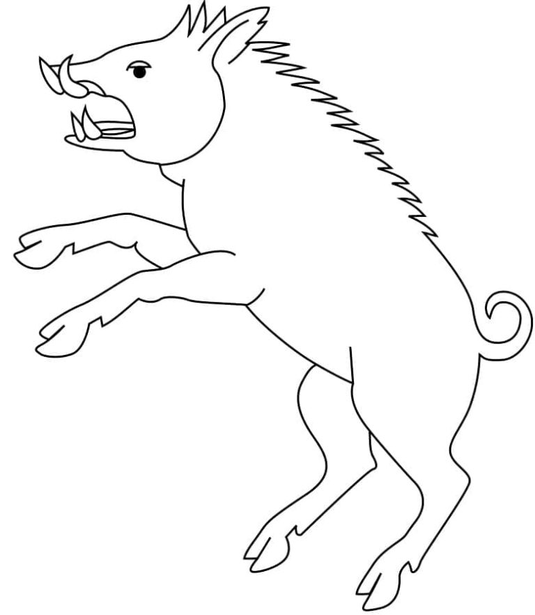 Tô màu Heo Rừng Đơn Giản
