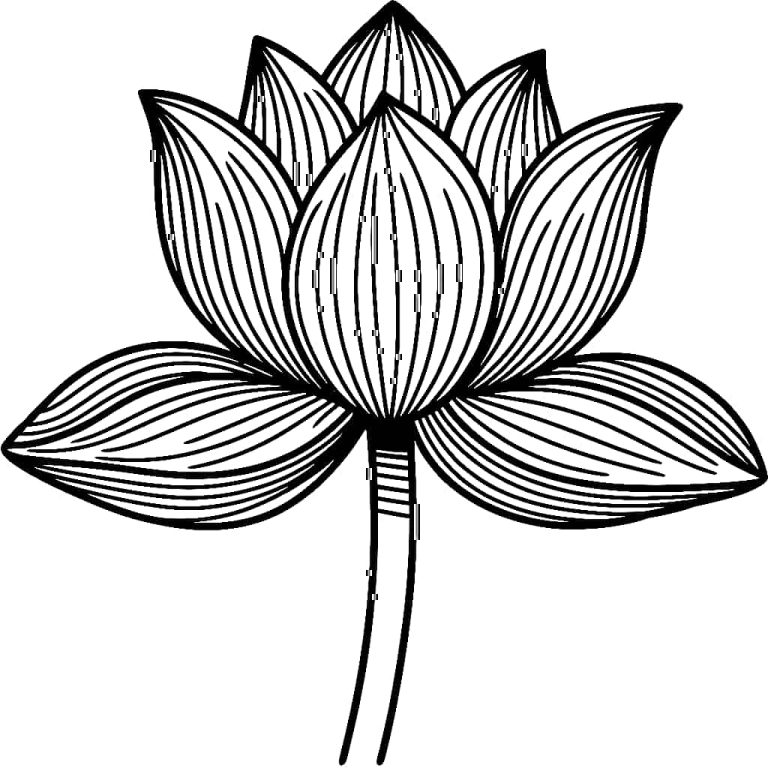 Tô màu Hoa Sen Đơn Giản