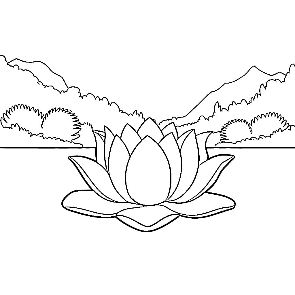 Tô màu Hoa Sen Lớn