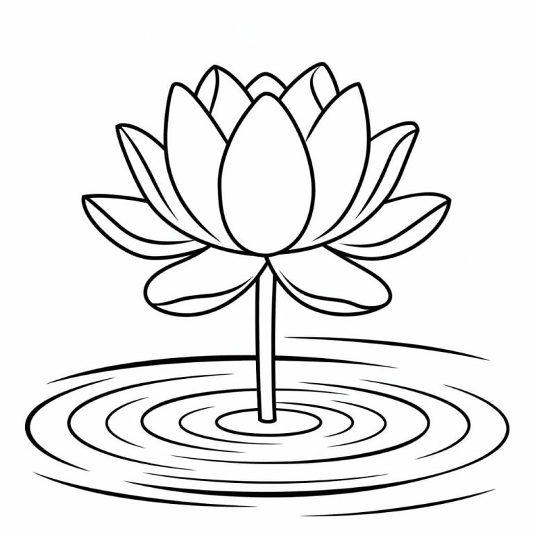 Tô màu Hoa Sen Và Mặt nước