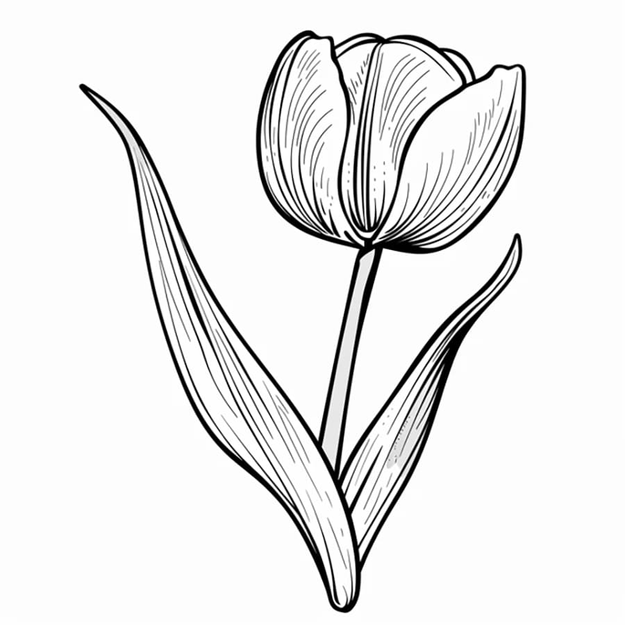 Tô màu Hoa Tulip Lớn