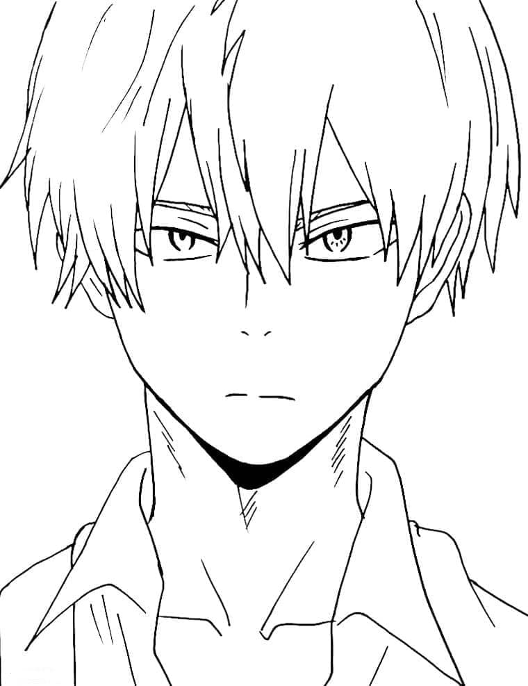 Tô Màu Todoroki Shoto