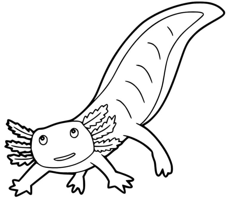Tô màu Kỳ Nhông Axolotl Cute
