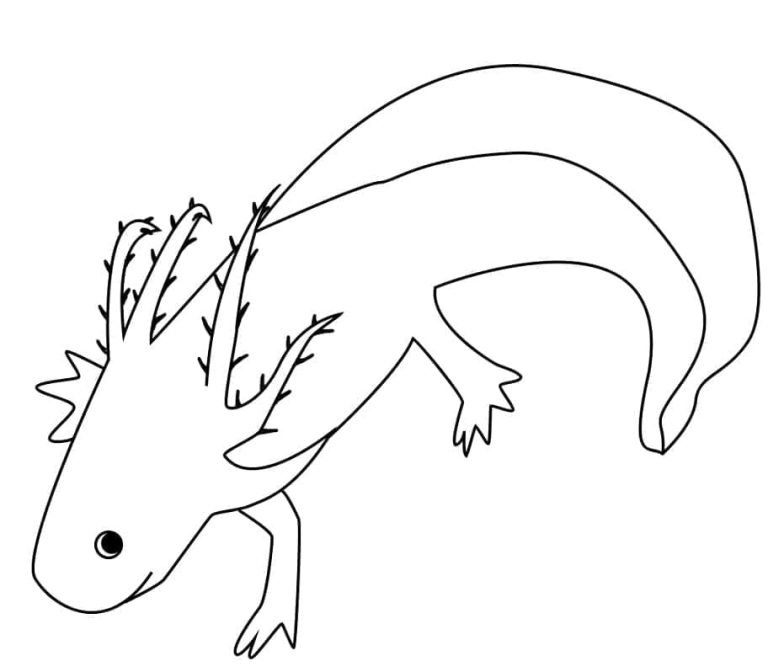 Tô màu Kỳ Nhông Axolotl Đơn Giản