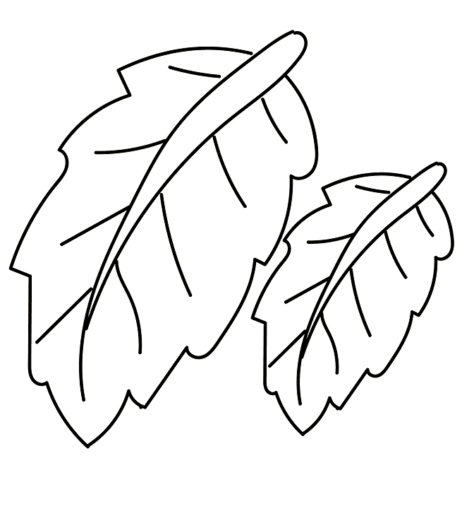 Tô màu Lá Cây Chuối