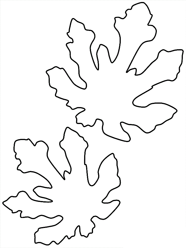 Tô màu Lá Cây Sung
