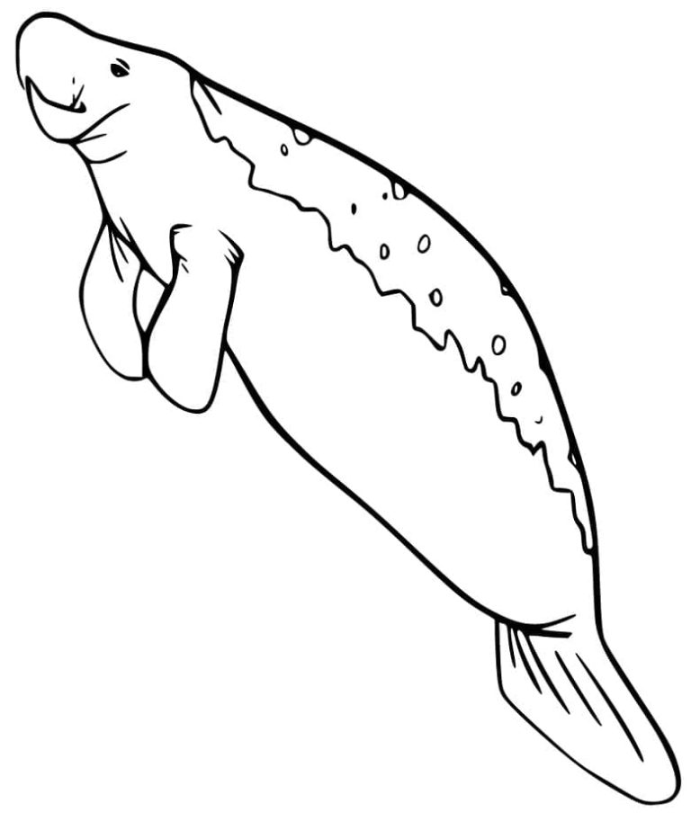 Tô màu Lợn Biển Bơi