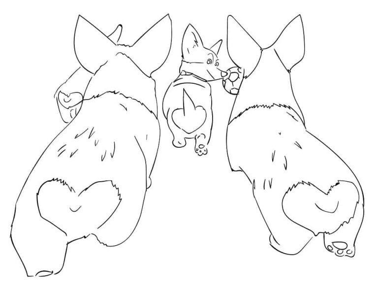 Tô màu Những Chú Chó Corgi