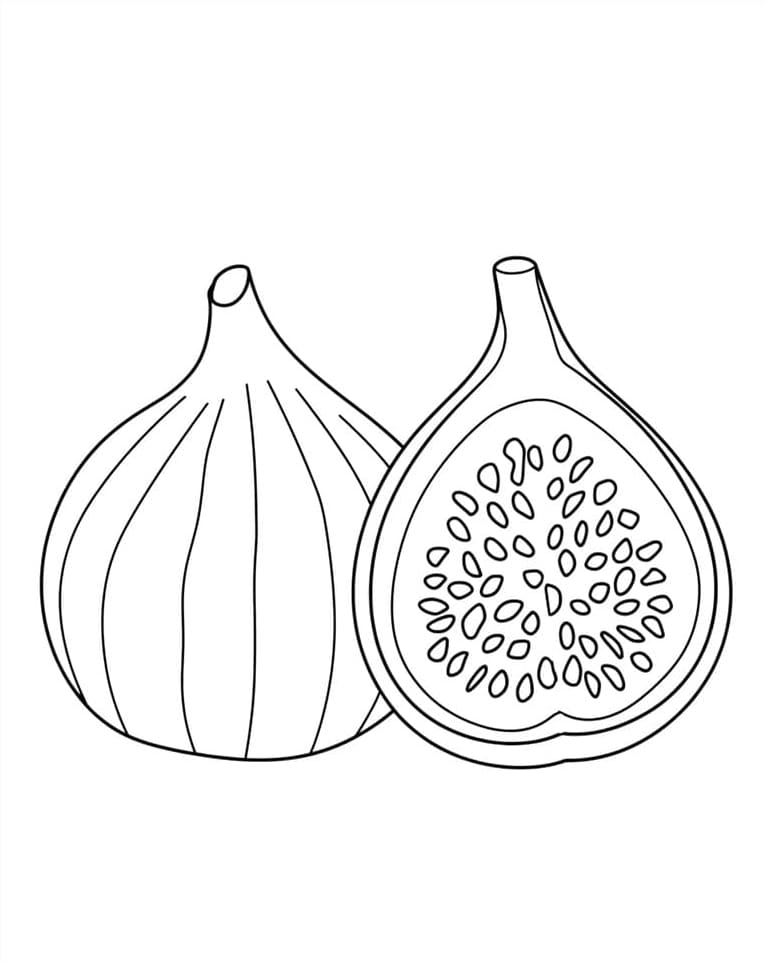 Tô màu Quả Sung