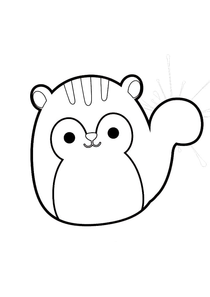 Tô màu Sóc Squishmallows