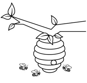 Tô Màu Tổ Ong
