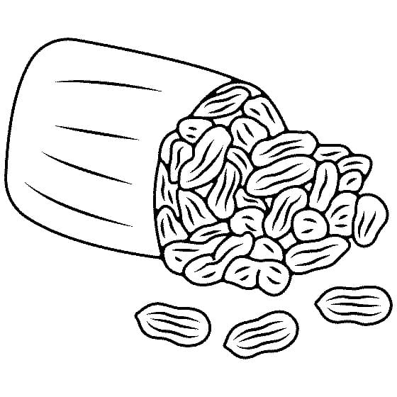 Tô màu Túi Lạc