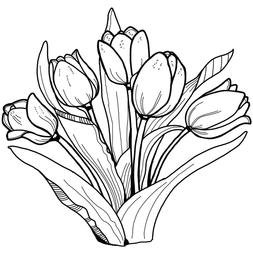 Tô Màu Hoa Tulip