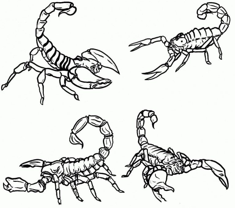 Tô màu Bốn Con Bọ Cạp