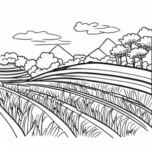 Tô màu Cánh Đồng Lúa Mênh Mông