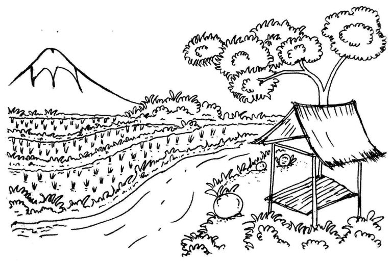 Tô Màu Cánh Đồng Lúa
