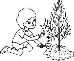 Tô màu Cậu Bé Trồng Cây Bảo Vệ Môi Trường