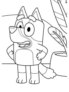 Tô màu Chú Chó Bluey